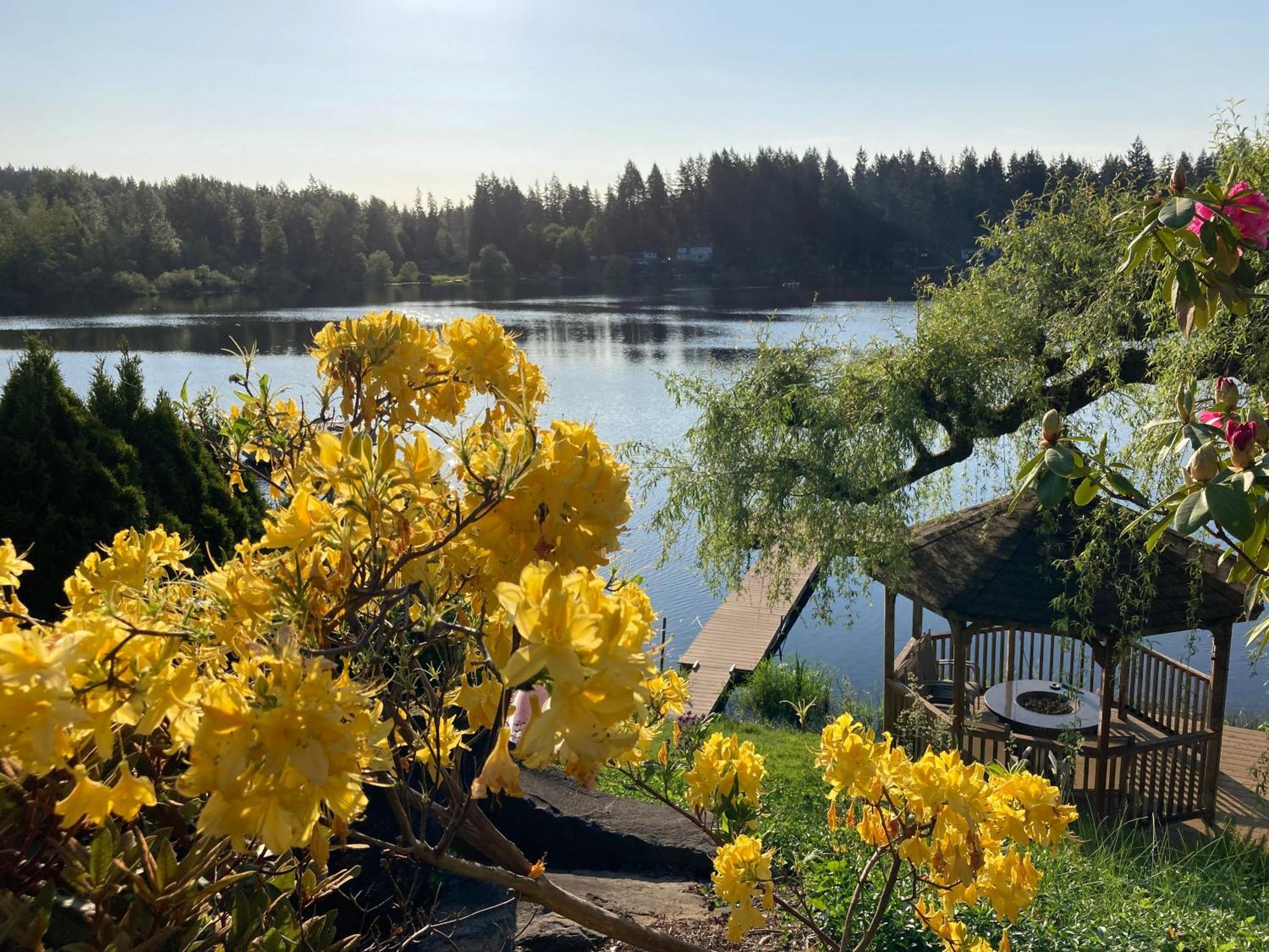 Cottage Lake Bed And Breakfast Woodinville Exteriér fotografie