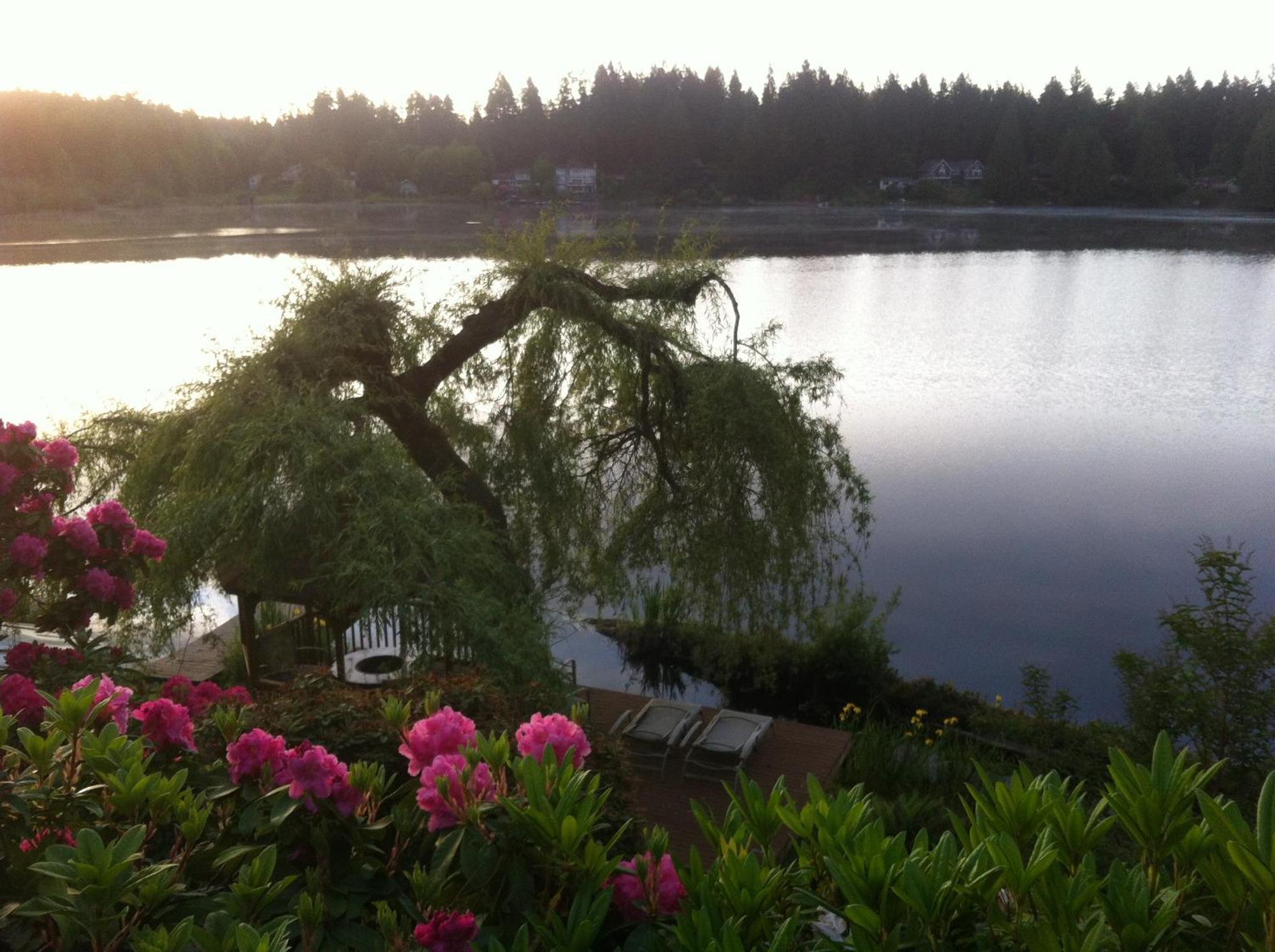 Cottage Lake Bed And Breakfast Woodinville Exteriér fotografie